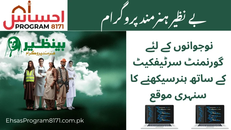 Benazir Hunarmand Program