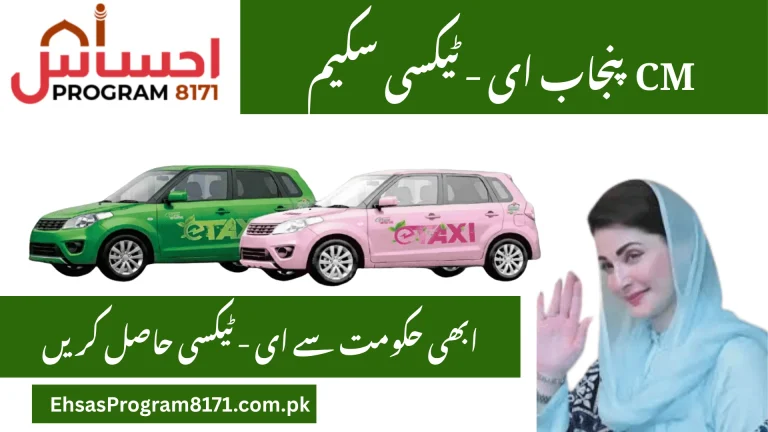 CM Punjab E-Taxi Scheme