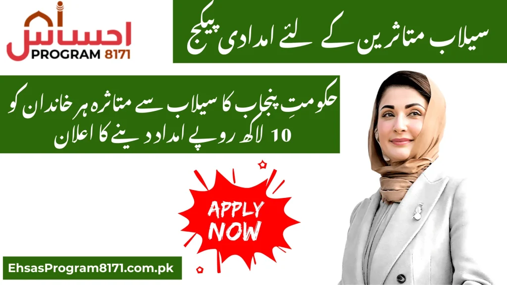 CM Punjab Flood Relief Package