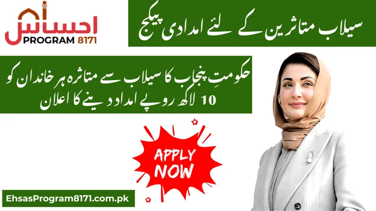 CM Punjab Flood Relief Package