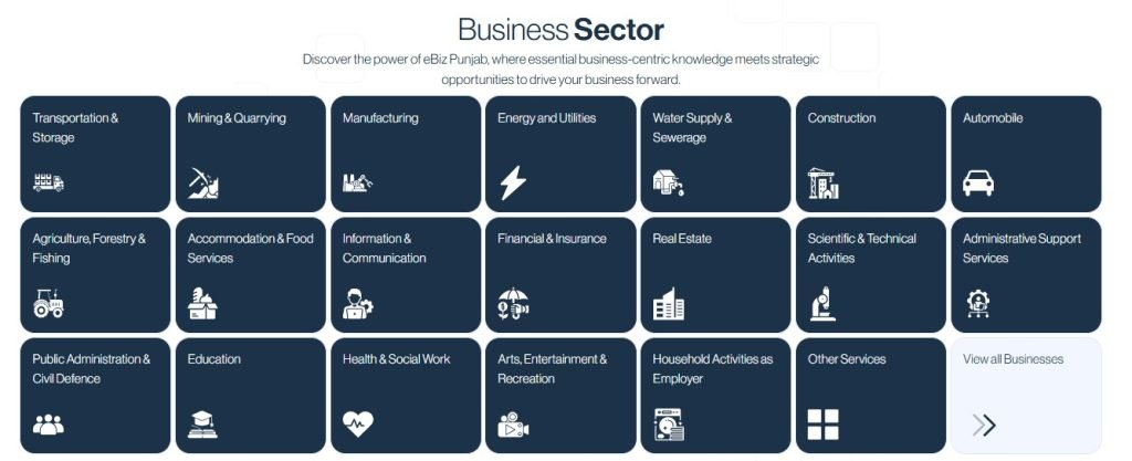 ebiz Punjab Portal