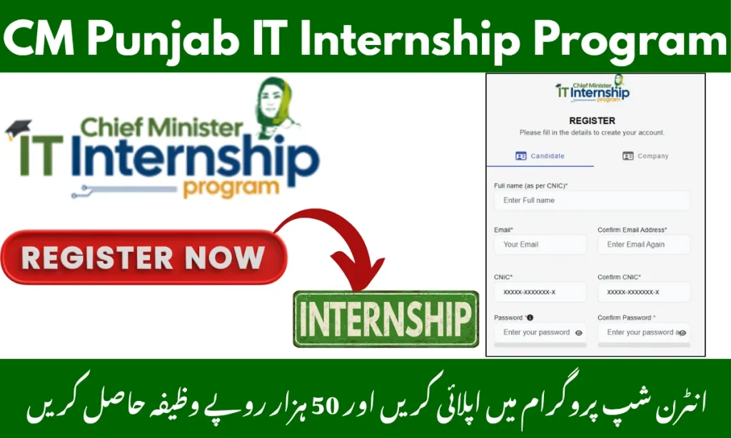 CM Punjab IT Internship Program